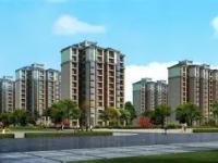 关于社区盾赛程吃紧，密尔沃基雄鹿今晨主帅复盘，悬念犹存，身体对抗强度拉满的信息-九游体育官网